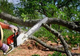 Best Leaf Removal  in Harsville, RI